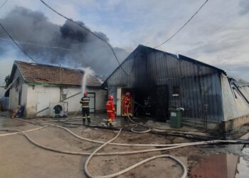 VIDEO. Incendiu în ultima zi din an, lângă Oradea | Ard două hale de depozitare la Santăul Mic