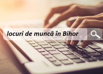 Locuri de muncă în Bihor | Angajatorii sunt în căutare de contabili, vânzători sau asistenți medicali
