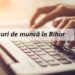 Locuri de muncă în Bihor | Angajatorii sunt în căutare de contabili, vânzători sau asistenți medicali