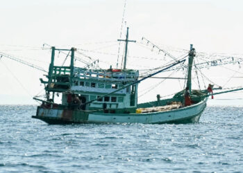 România, obligată de CEDO să plătească despăgubiri de peste 10.000 de euro unui bulgar condamnat pentru pescuit ilegal