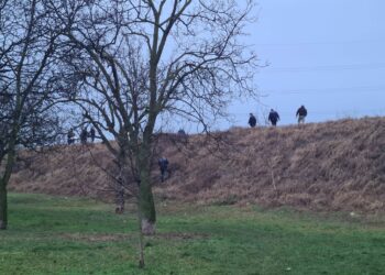 Măcelărit de trenul Oradea-Timișoara. Părți din trupul bărbatului, căutate printe linii