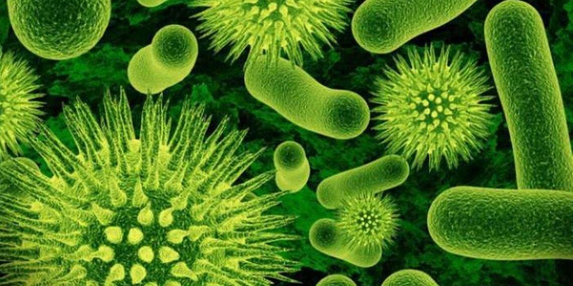 Organismul unui tânăr bihorean, devorat de o bacterie necunoscută. E în comă indusă la Cluj după mai multe intervenții chirurgicale. Are nevoie de sânge