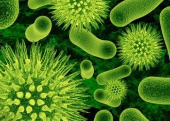 Organismul unui tânăr bihorean, devorat de o bacterie necunoscută. E în comă indusă la Cluj după mai multe intervenții chirurgicale. Are nevoie de sânge