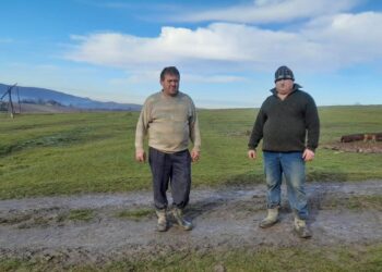 Răscoală împotriva unui investitor în parcul fotovoltaic într-o localitate din Bihor