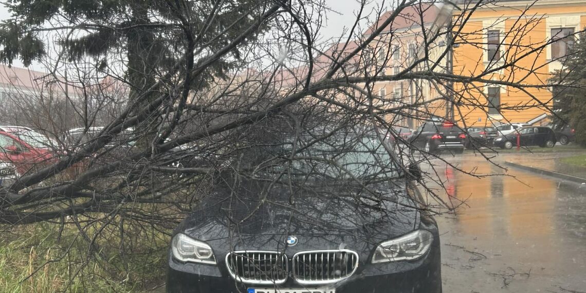Copaci căzuți sub rafalele de vânt pe Coposu.În zona Liceului Economic, și în Episcopia, copaci căzuți pe mașini, dar și pe blocuri