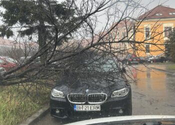Copaci căzuți sub rafalele de vânt pe Coposu.În zona Liceului Economic, și în Episcopia, copaci căzuți pe mașini, dar și pe blocuri