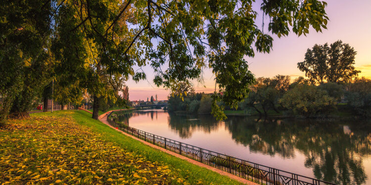 Un bărbat de 66 de ani, împins în Criș, din senin, în timp ce se plimba în zona Sovata