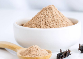 Cât costă kilogramul de făină de greier. Era greu de anticipat un asemenea preț