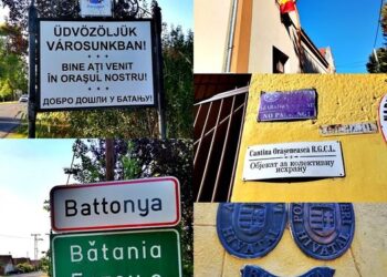 Focar de gripă aviară la 7 km de graniță într-o fermă cu 2000 de gâște