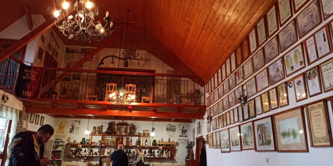 GALERIE. Au vrut să afle secretele satului Hajós, satul fără nici un locuitor, dar cu 1256 de pivnițe. Sălacea caută pașaport pentru a intra în rețeaua satelor de pivniță din Europa Centrală