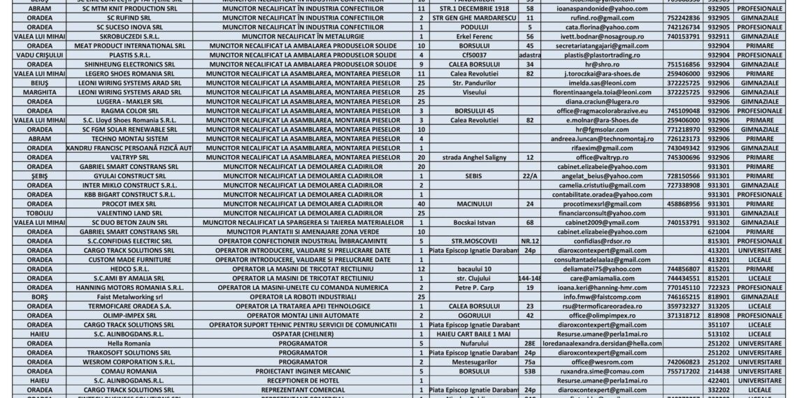 1000 de locuri de muncă disponibile în Bihor. Doar 34 sunt pentru cei cu studii superioare