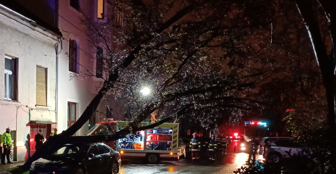 Mașina CJ Bihor, strivită de un copac pe Iuliu Maniu. Copacul a rupt și firele de electricitate și a lăsat mai multe străzi în beznă