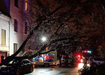 Mașina CJ Bihor, strivită de un copac pe Iuliu Maniu. Copacul a rupt și firele de electricitate și a lăsat mai multe străzi în beznă
