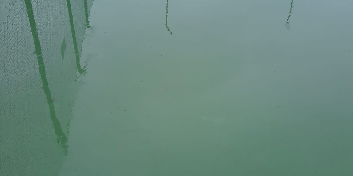 Cele mai performante terenuri de tenis cu suprafață dură din România, inundate. Lucrarea e acum ținta ironiilor