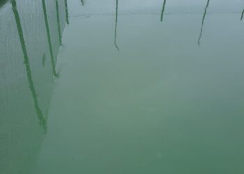 Cele mai performante terenuri de tenis cu suprafață dură din România, inundate. Lucrarea e acum ținta ironiilor