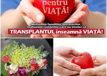 Prima prelevare din 2023. În timp ce un orădean pierdea lupta, miercuri noaptea, o cursa contracronometru pentru viață începea la Spitalul Județean Oradea