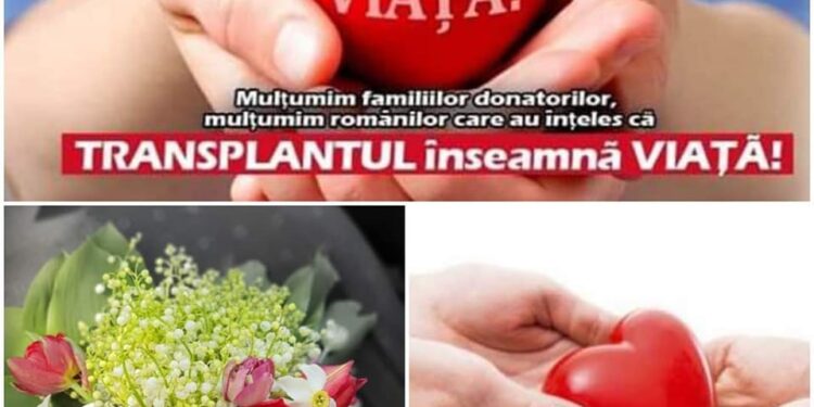 Prima prelevare din 2023. În timp ce un orădean pierdea lupta, miercuri noaptea, o cursa contracronometru pentru viață începea la Spitalul Județean Oradea
