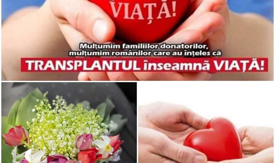 Prima prelevare din 2023. În timp ce un orădean pierdea lupta, miercuri noaptea, o cursa contracronometru pentru viață începea la Spitalul Județean Oradea