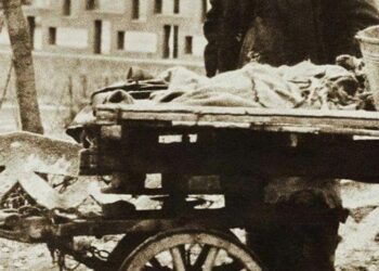 Povestea celui supranumit Ali Baba de Oradea. A făcut o avere cu o mârțoagă și o căruță.Povestea lui seamănă cu a geniului în matematică, gunoier la Cluj