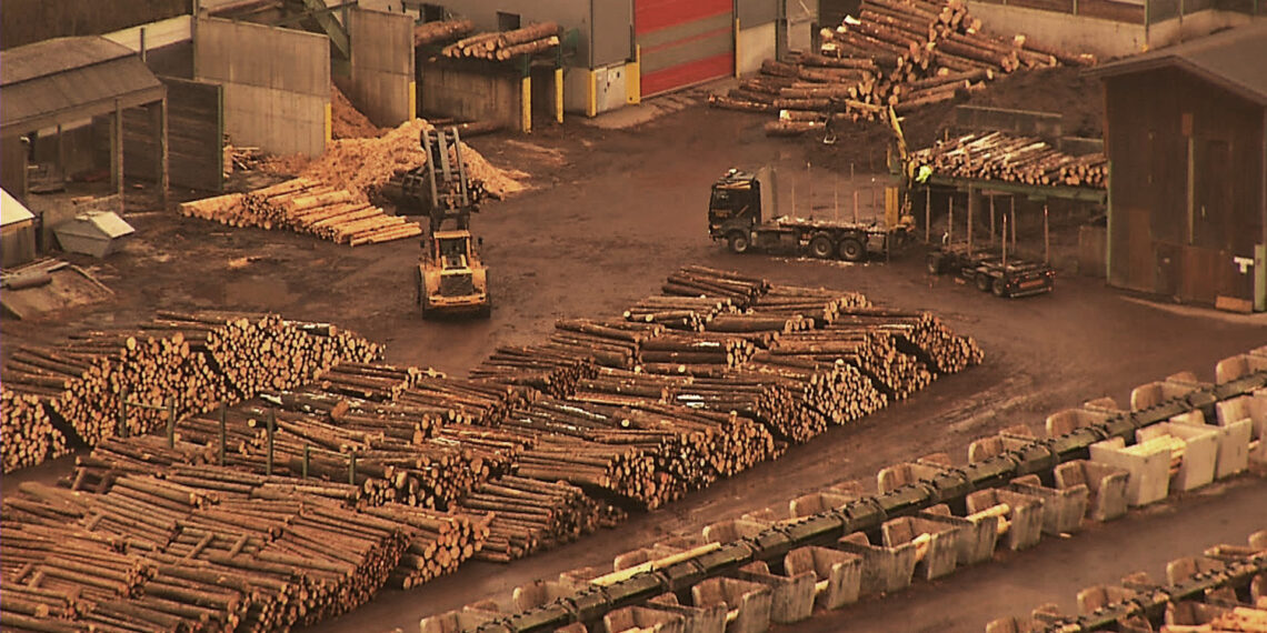 Controversata firmă austriacă Holzindustrie Schweighofer a pierdut procesul cu Fiscul . S-au judecat pentru o amendă uriașă