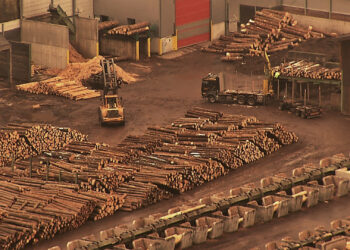 Controversata firmă austriacă Holzindustrie Schweighofer a pierdut procesul cu Fiscul . S-au judecat pentru o amendă uriașă