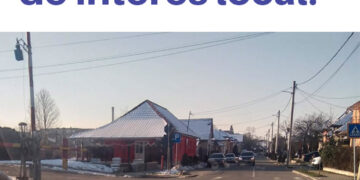 Haite de câini împânzesc Beiușul. Unii își fac cartier în zona complexului comercial