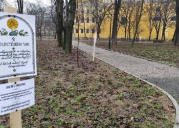 Cuplurile, invitate pe Calea soților la Palatul Baroc. Azi începe Săptămâna căsătoriei