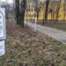 Cuplurile, invitate pe Calea soților la Palatul Baroc. Azi începe Săptămâna căsătoriei