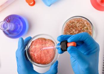 Uniunea Europeană spune „DA” făinii din greieri, ciupercilor tratate cu raze ultraviolete și „cărnii în eprubetă”