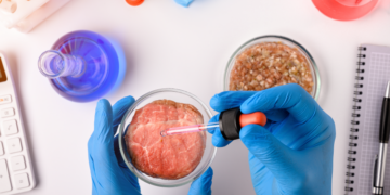 Uniunea Europeană spune „DA” făinii din greieri, ciupercilor tratate cu raze ultraviolete și „cărnii în eprubetă”