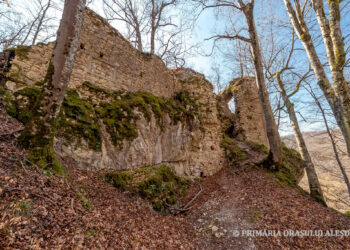 Cetatea Piatra Șoimului, restaurată cu 2 milioane de euro. Punct de atracție turistică datat 1242