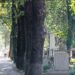 Pregătiți să dezgroape 11.000 de morți din Oradea. În premieră, evacuarea mormintelor a început