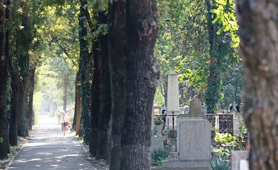 Pregătiți să dezgroape 11.000 de morți din Oradea. În premieră, evacuarea mormintelor a început