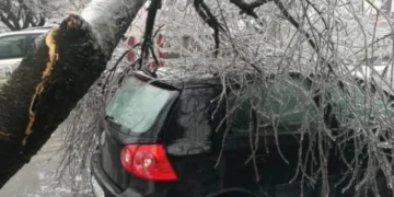 Un copac a căzut peste o mașină aflată în trafic. Un băiat de 14 ani a murit. Bihorul, pe lista intervențiilor IGSU