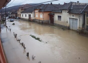 Lunca e, din nou, sub ape. De ani de zile nimeni nu face nimic