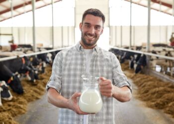 Prețul laptelui ca materie primă se va prăbuși