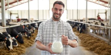 Prețul laptelui ca materie primă se va prăbuși