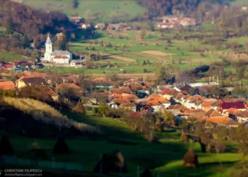 Consilier liberal din Roșia, declarat  în conflict de interese administrative