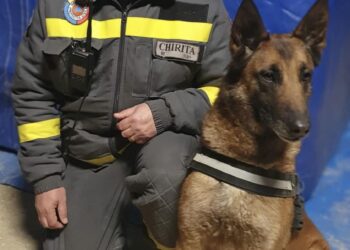 Povestea impresionantă a unui salvator și a câinelui Speedy care caută viață printre ruinele din Turcia