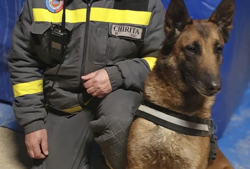 Povestea impresionantă a unui salvator și a câinelui Speedy care caută viață printre ruinele din Turcia