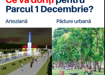 Vor să transforme Parcul 1 Decembrie într-o pădure urbană. Primăria vrea arteziană și „execuția” copacilor