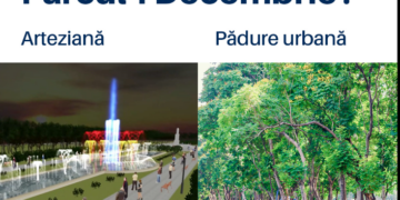 Vor să transforme Parcul 1 Decembrie într-o pădure urbană. Primăria vrea arteziană și „execuția” copacilor