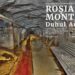 De la Oradea, expoziţia „Roșia Montană: Duhul Aurului” ajunge în Parlamentul României