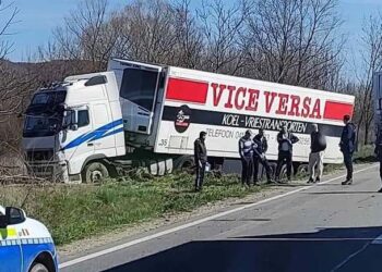 Cu camionul în copac. Pasagerul și șoferul au primit îngrijiri medicale