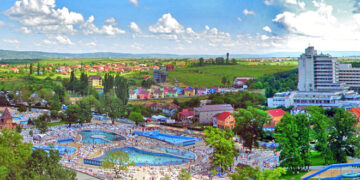 SCT Felix raportează  cifră de afaceri în creștere, profit în scădere