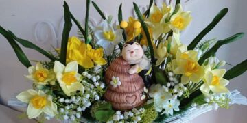 Se pregătesc pentru a treia operație pe cord deschis a micuței Xenia. Putem fi parte la povestea ei de succes