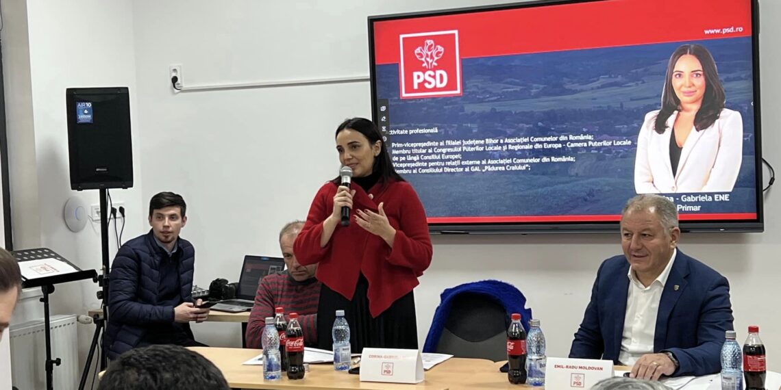 Primarul Corina Ene, motor al ideilor. Adrian Madar: Organizații locale, construite în jurul personalităților