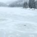 Fenomen rar pe un lac din Apuseni surprins de președintele Rescue Transilvania