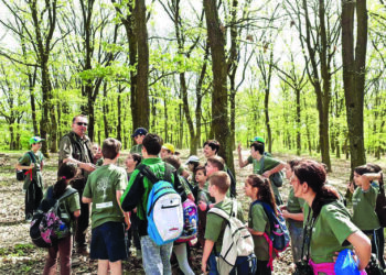 Beiușeanul care a gestionat pădurile regale, dar și ale episcopiilor catolice, caută formule pentru noul cod silvic la Oradea