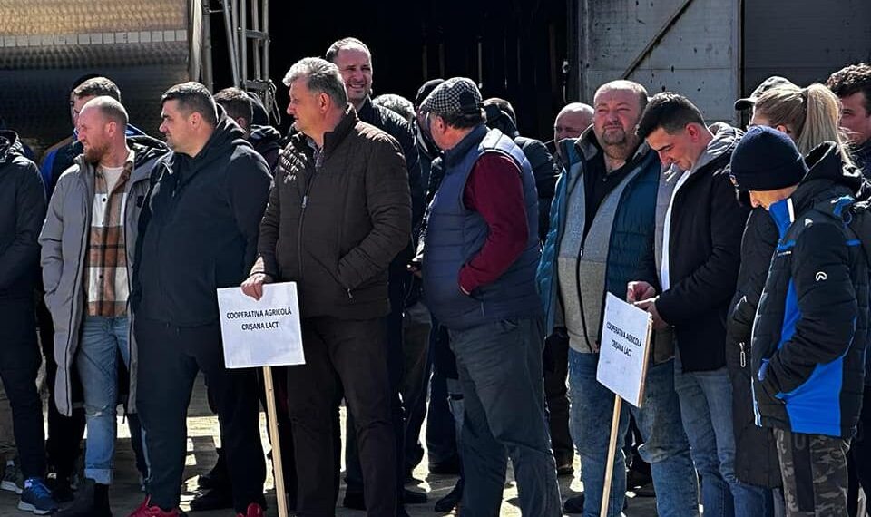 Au vărsat o cisternă de lapte în semn de protest. Fermierii de la Crisana Lact refuză să mai finanțeze economiile altor state europene în detrimentul economiei noastre